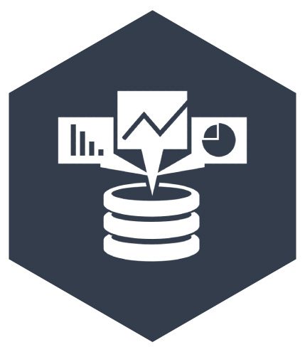 icon_DATA
